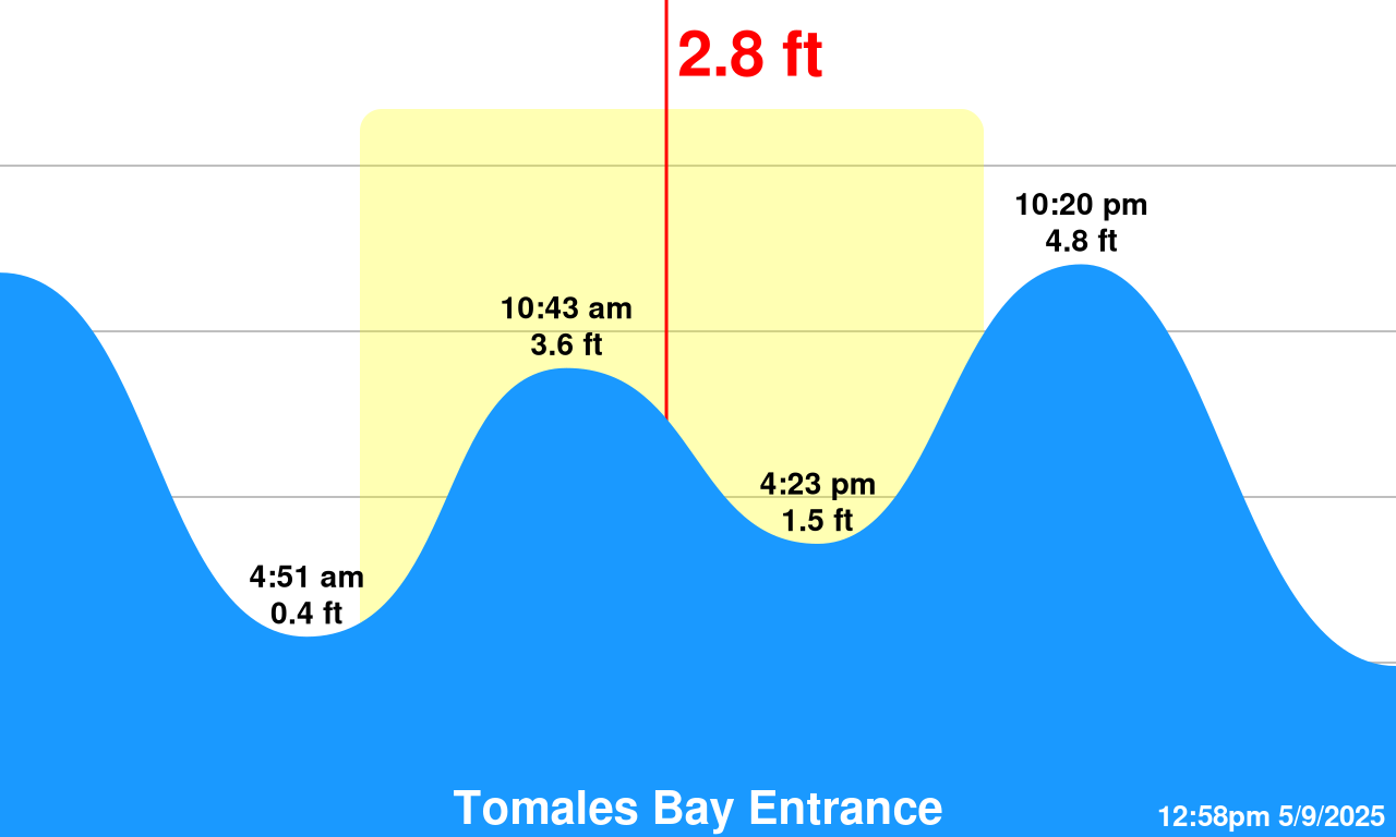 https://gizmoware.net/tides/chart/graphics/lawsons-webcam.png